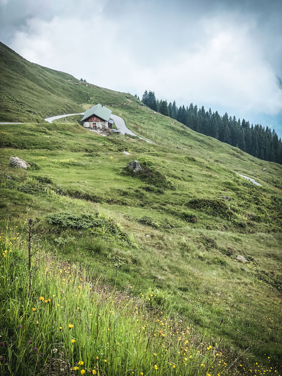 eine der schönsten Alpenstraßen Österreichs