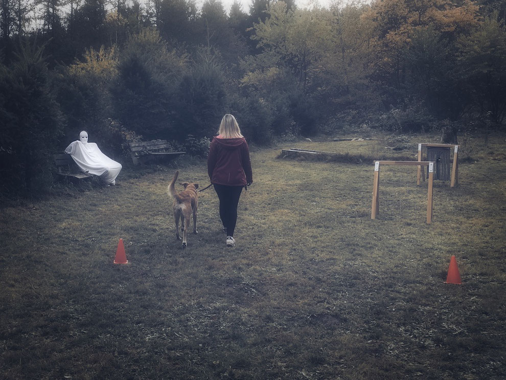 (c) www.gundi-hund.de | GUNDI - Gesund & Intelligent | Hundetraing und Hundeernährungsberatung