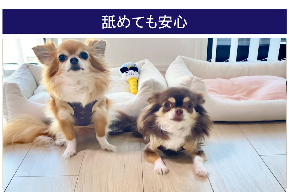 沖縄フロアコーティングペット,