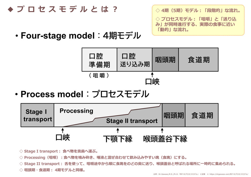 「プロセスモデルとは?」 ※出典:https://drgawaso.com/嚥下のプロセスモデル/ をもとに作成