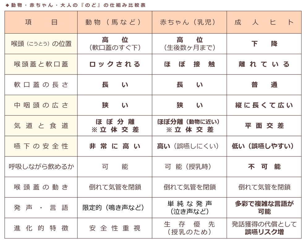 「動物・赤ちゃん・おとなの『のど』のしくみ比較表」