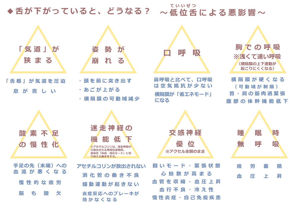 「舌が下がること(低位舌)による悪影響」