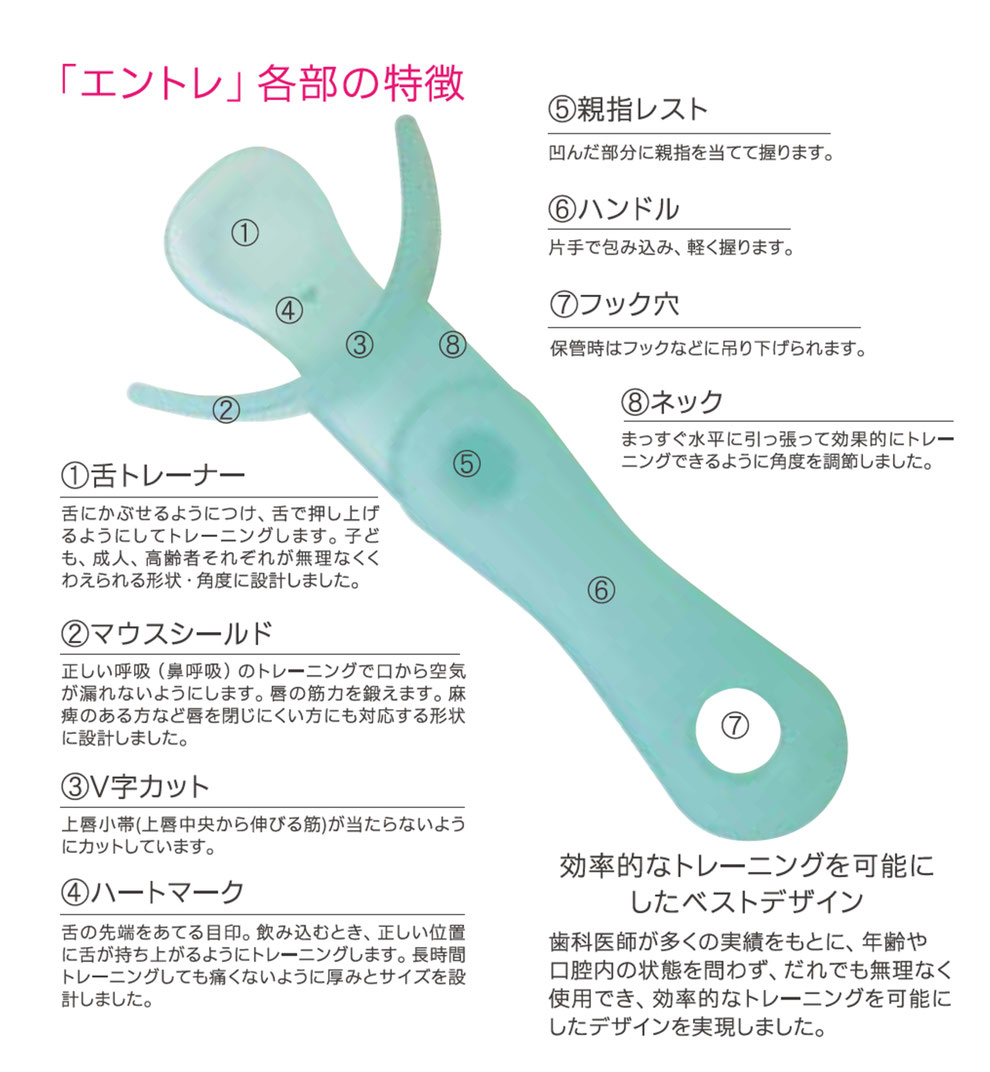 「エントレ各部の特徴」