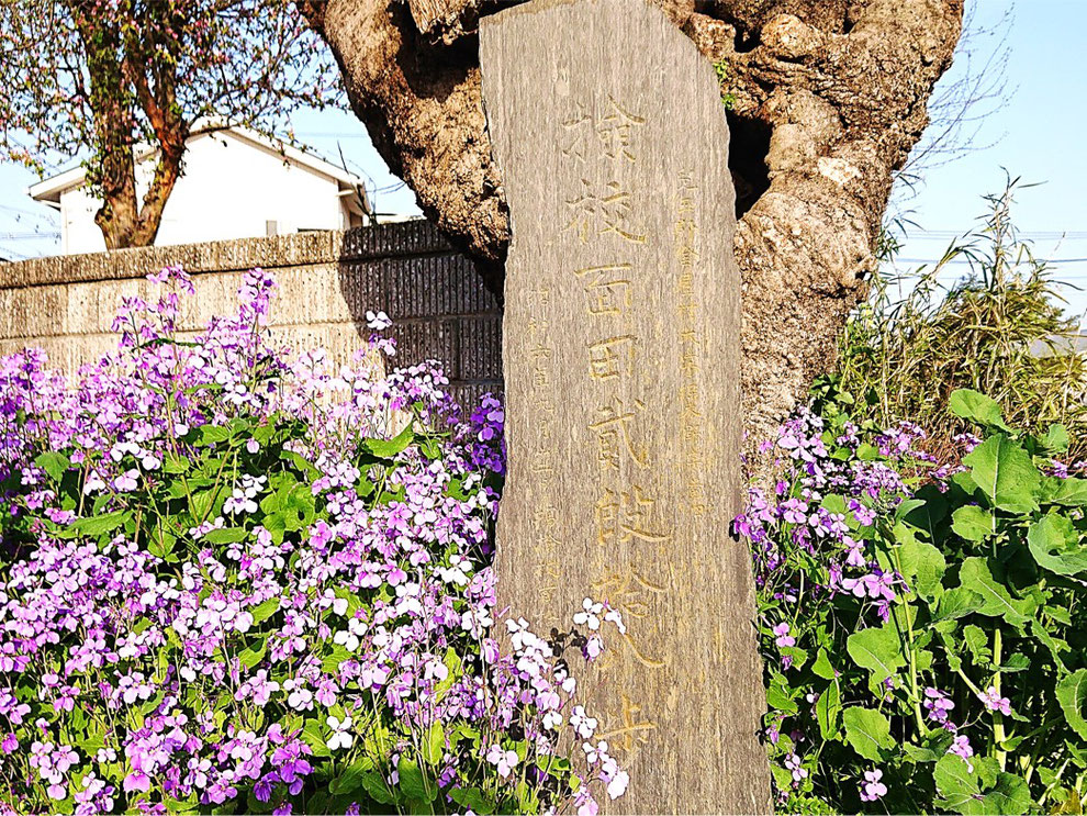 塙保己一先生生家近くにある「検校面田の石碑」