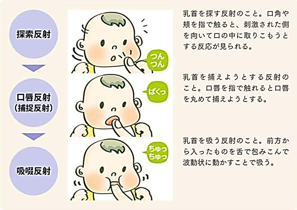 「哺乳反射(原始反射)」 出典:シエン社ホームページ https://www.shien.co.jp/media/sample/s1/BK01010/html5m.html#page=4