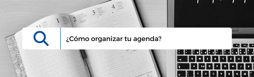 diseño web guadalajara