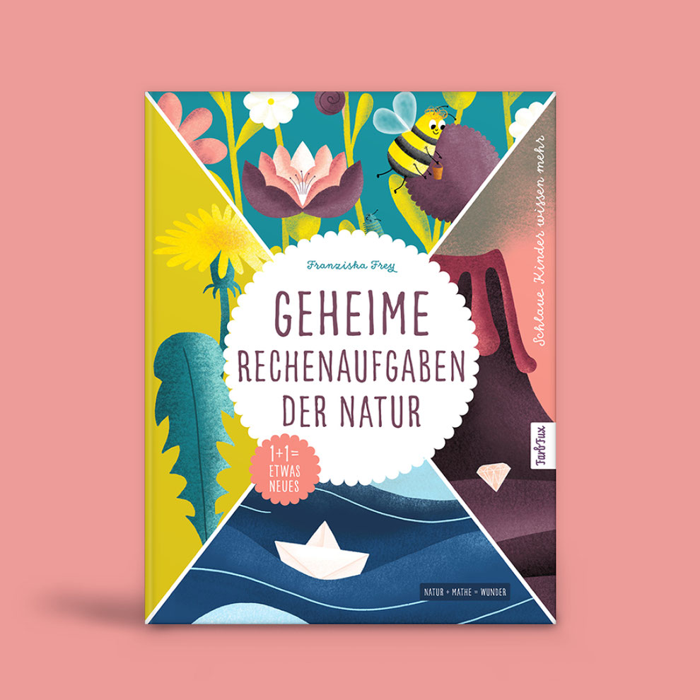 Kinderbuch: Geheime Rechenaufgaben der Natur