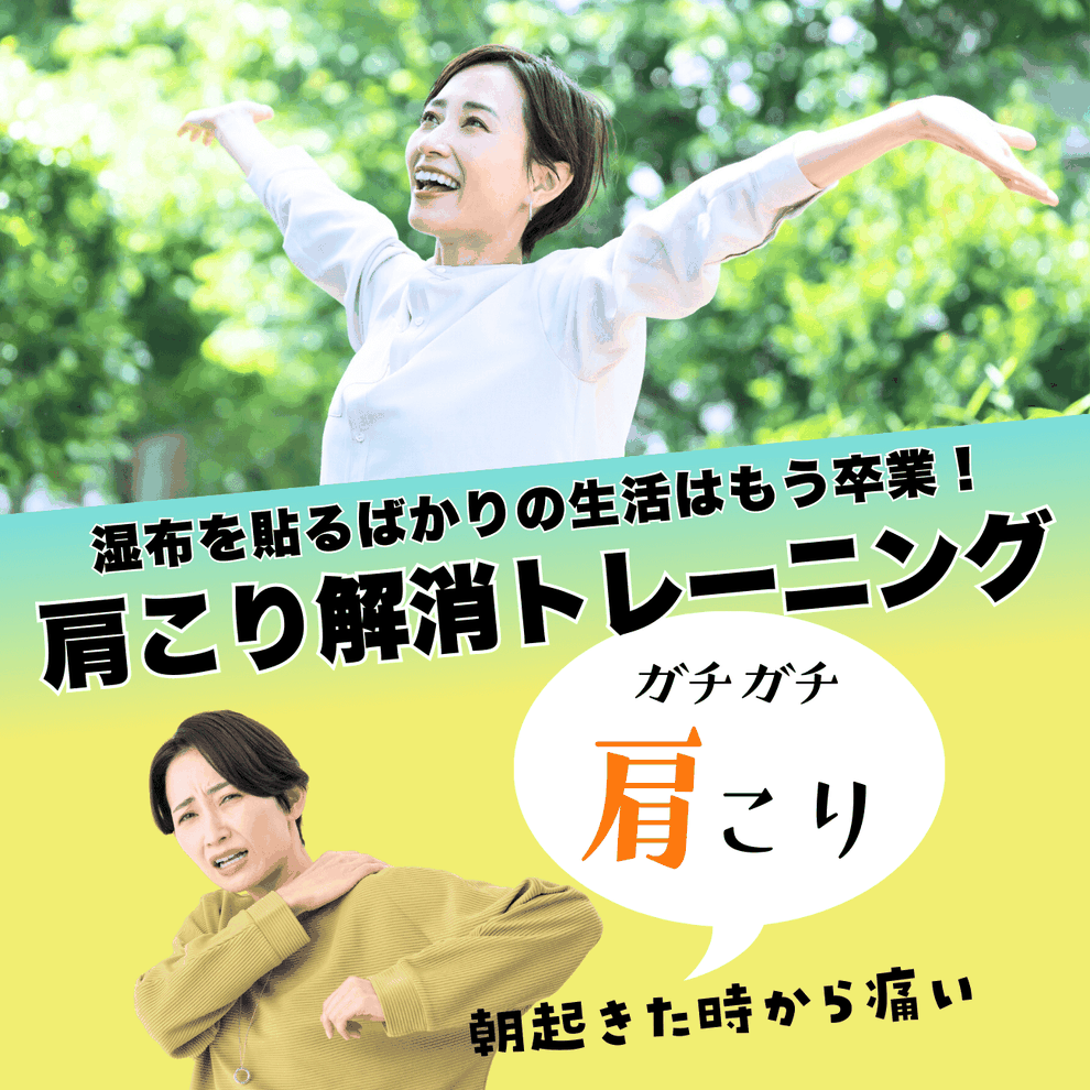 府中で肩こりを根本から改善 ｜整体×運動で“こりを繰り返さない体”に整えるサポート