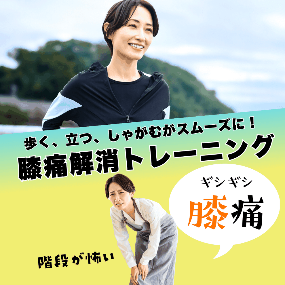 府中で膝の痛みを根本から改善｜整体×運動のやさしいアプローチ