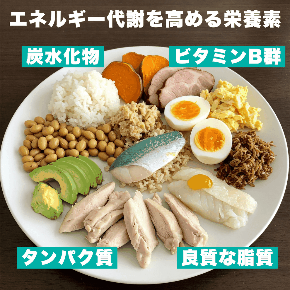 筋力・代謝・免疫を支える栄養バランスとは