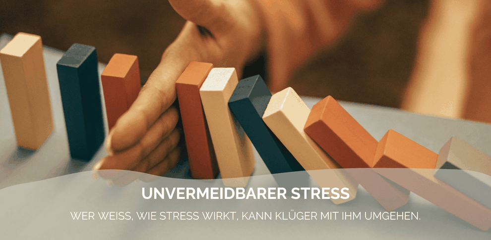 Stressmanagement: Umgang mit unvermeidbaren Stress | Claudia Karrasch | Bonn | Bundesweit