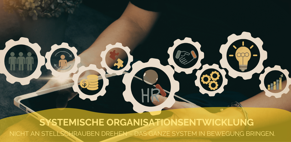 Systemische Organisationsentwicklung - Claudia Karrasch, Bonn, Bundesweit