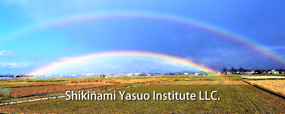 Shikinami Yasuo Institute LLC.
