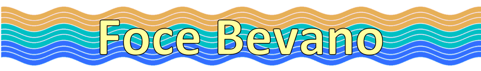 Benvenuti su focebevano!