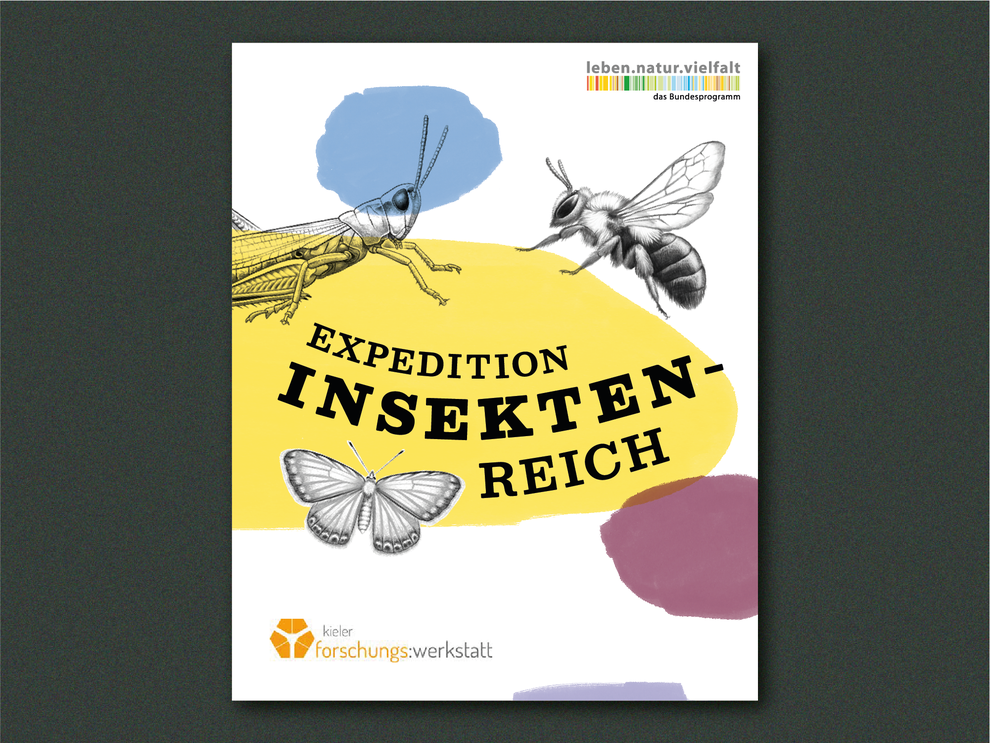 Broschürencover mit dem Titel Expedition Insektenreich 