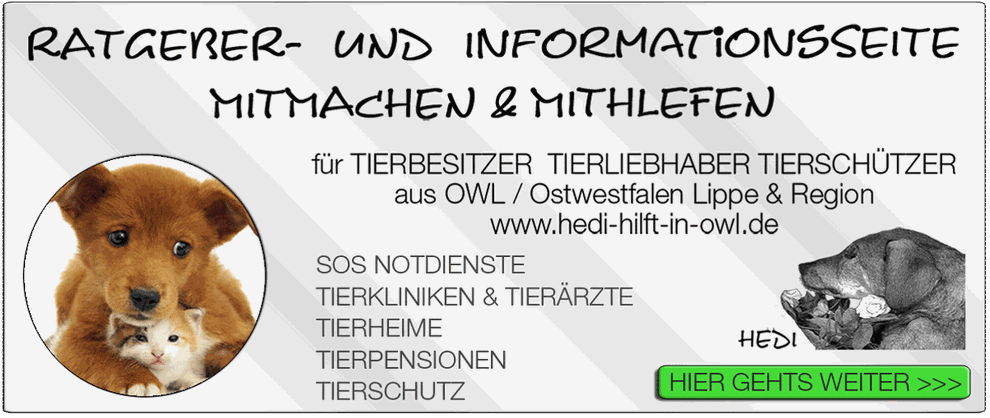 tierklinik bielefeld tierkliniken tierarzte tierarzt notdienst tiernotdienst tieroperation tiernotfall owl ostwestfalen lippe tierschutz tierhilfe epi immobilien bad oeynhausen immobilienmakler immobilienagentur immobilienburo maklerburo