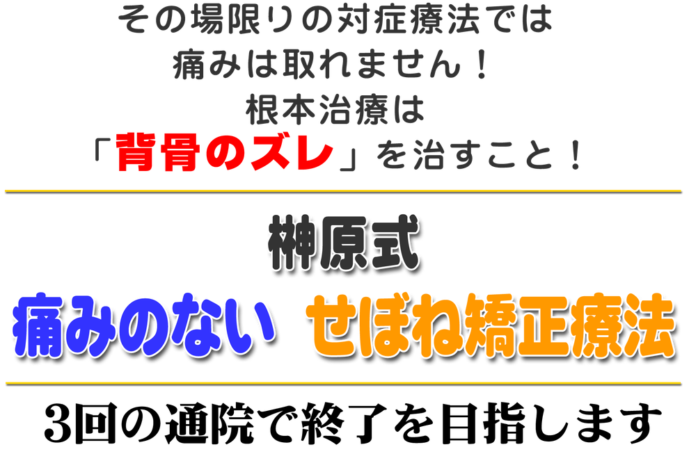 その場限りの対症療法では痛みは取れません。根本治療は背骨のずれ（歪み）を治すこと！榊原式痛みのないせぼね矯正療法。3回の通院で終了を目指します。