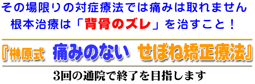 その場限りの対症療法では痛みは取れません。根本治療は背骨のずれ（歪み）を治すこと！榊原式痛みのないせぼね矯正療法。3回の通院で終了を目指します。