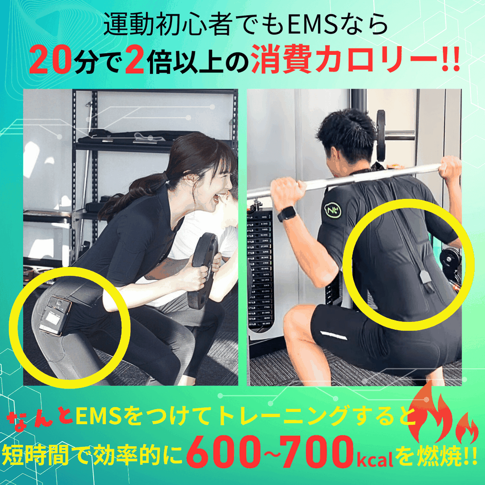 初心者のための筋トレジムTEC BODY