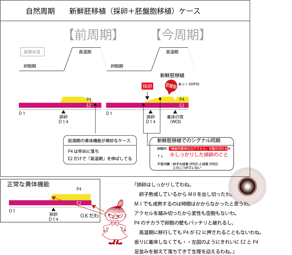 デュファストン 高温 期