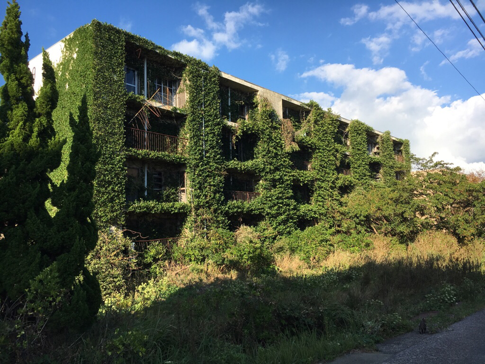 植物に覆われた池島のアパート