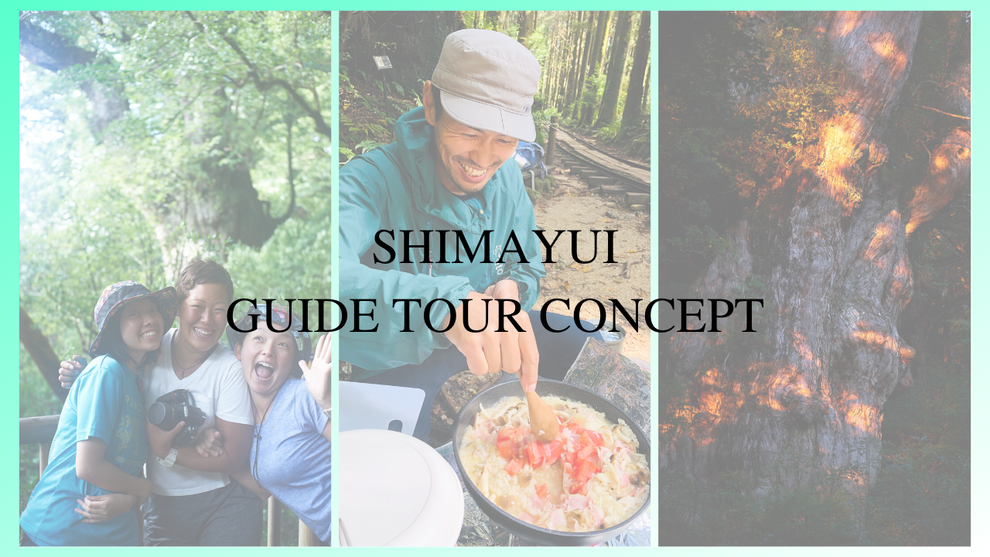 About Shimayui 島結 Shimayui