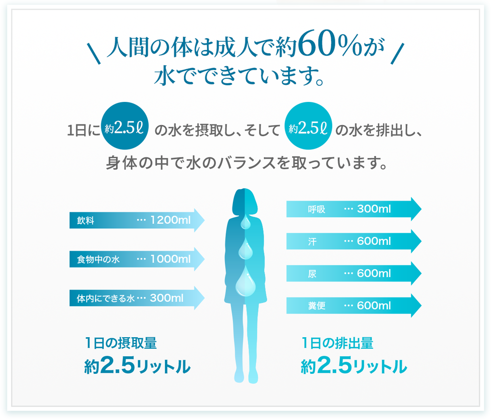 人間の体は成人で約６０％が水でできています