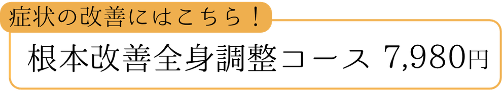 根本改善全身調整コース 6,980円