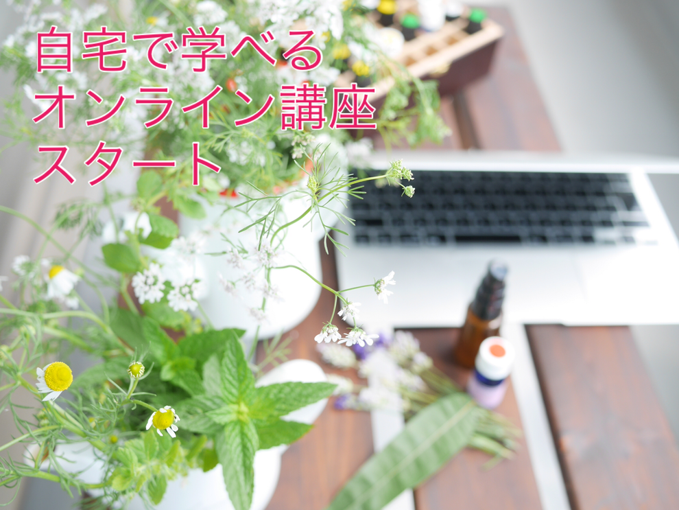 Web講座 札幌市清田区ミリオンローズ