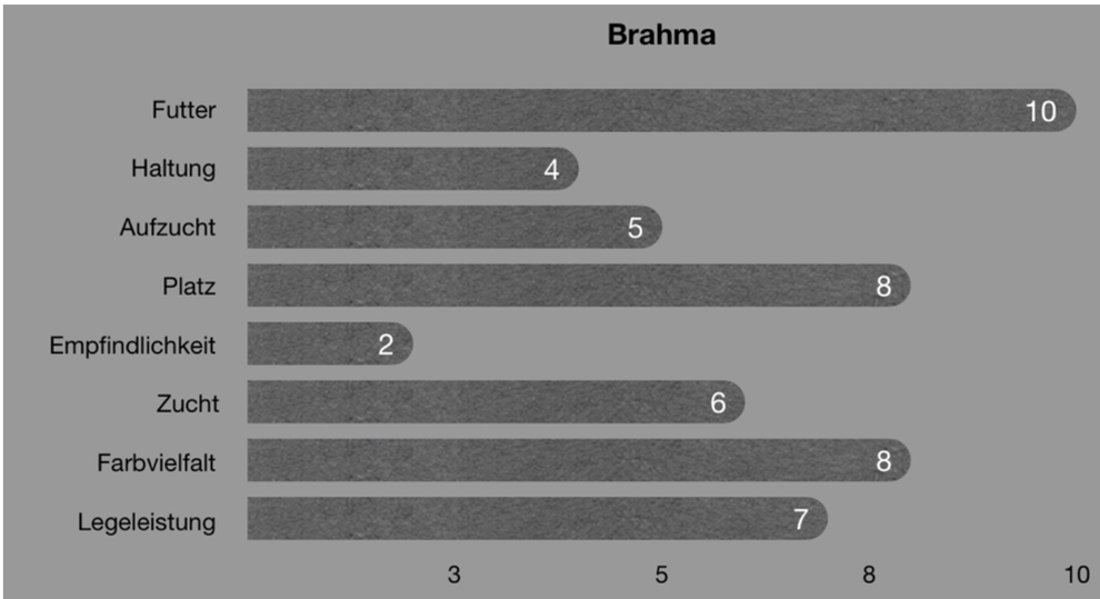 Brahma