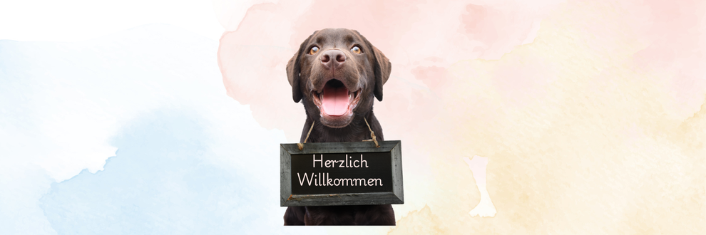 Tierenergetik, Energetik, Aurasehen für Tiere, Tierkommunikation