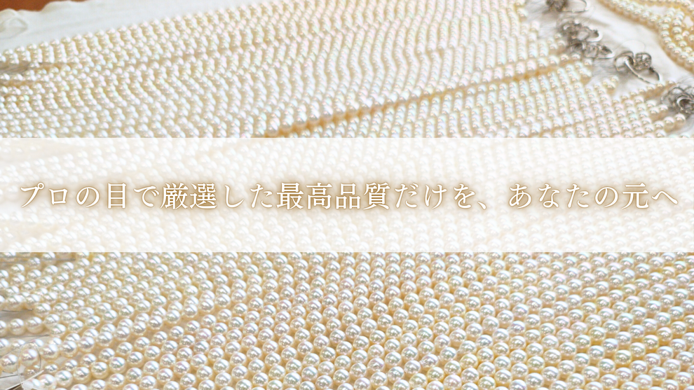 真珠の仕入れ風景：大量のパールの中からテリの良い珠を選別する場面