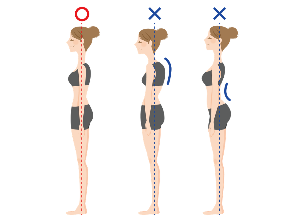 姿勢改善でぽっこりお腹も解消