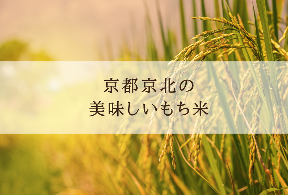 べっぴんかし一花（いつか）おこめぷるん-体の酸化について