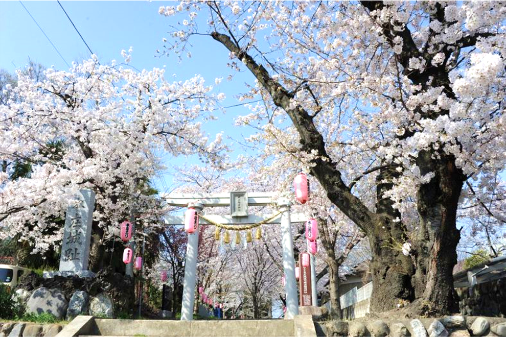 創建450年を記念して建立された「城山稲荷神社大鳥居」