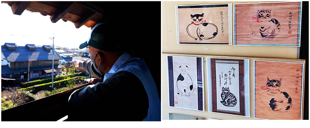 （左）「進成館」の”櫓（やぐら）”から、大型養蚕農家群について説明をしてくださっている丸橋 利光さん、（右）新田岩松氏の描いた『猫絵』