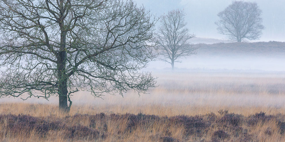 Gasterse Duinen © Jurjen Veerman