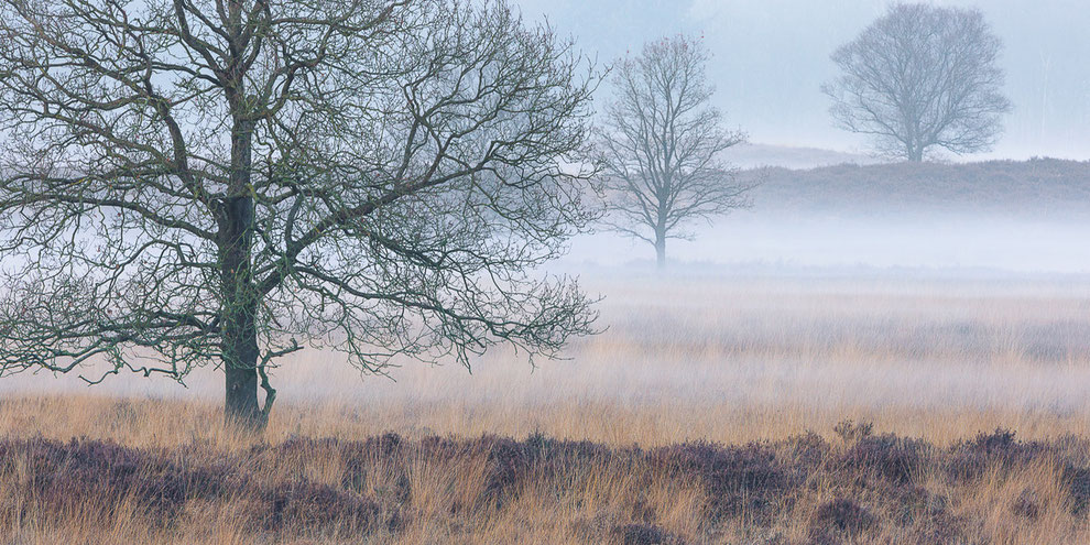 Gasterse Duinen © Jurjen Veerman