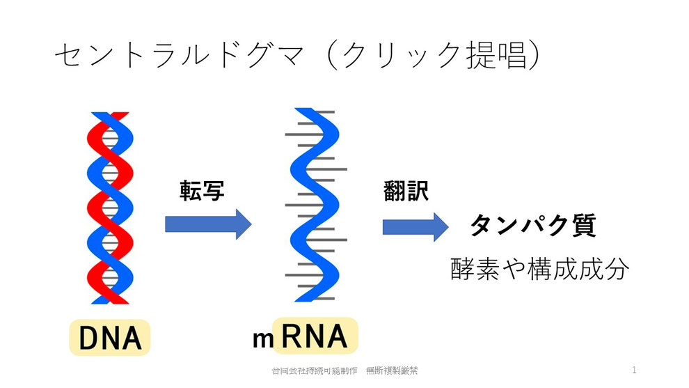 合同会社　持続可能主要取引銀行代表者プロフィール代表社員　小林一三幼少の時の痛み大学院修了まで薄鋼板から遺伝子組み換え、診断薬まで医療機器から医薬品サステイナビリティ学を学ぶ医療裁判、パーソナリティ障害、高血圧から復活ついに悟り（ティール）達成