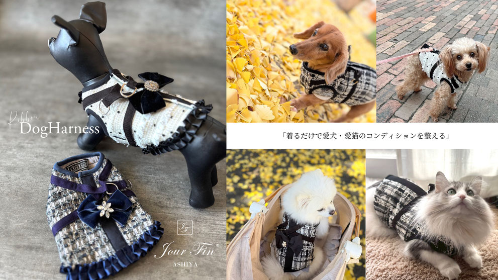 JourFin ラブリボン LoveRibbon りぼん リボン リボン教室 リボン教室芦屋 リボン教室神戸 リボンワーク リボンレッスン リボンレッスン神戸 リボンワーク リボンデザイン リボンレッスン 手仕事 ハンドメイド リントン LINTON リカバリ―わん リカバリ―わんハーネス ハーネス テラヘルツウエアー テラヘルツ 犬服 ドッグウエアー ドッグ用品 ドッグアクセサリー クークチュール ドッグ服手づくり ドッグ介護用品 ドッグハーネス 猫服 猫グッズ 猫介護用品