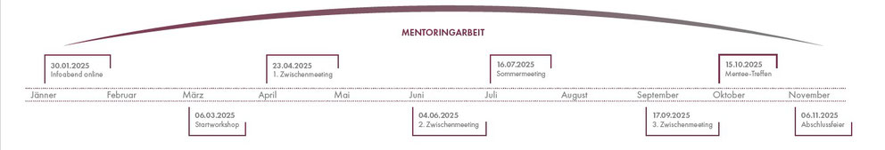 Cross-Mentoring Programm 2020