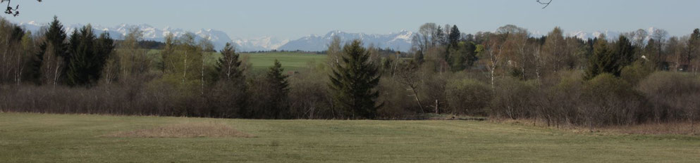 Sachsenhauser Filz - Blick nach Süden, Foto: Sabine Tappertzhofen