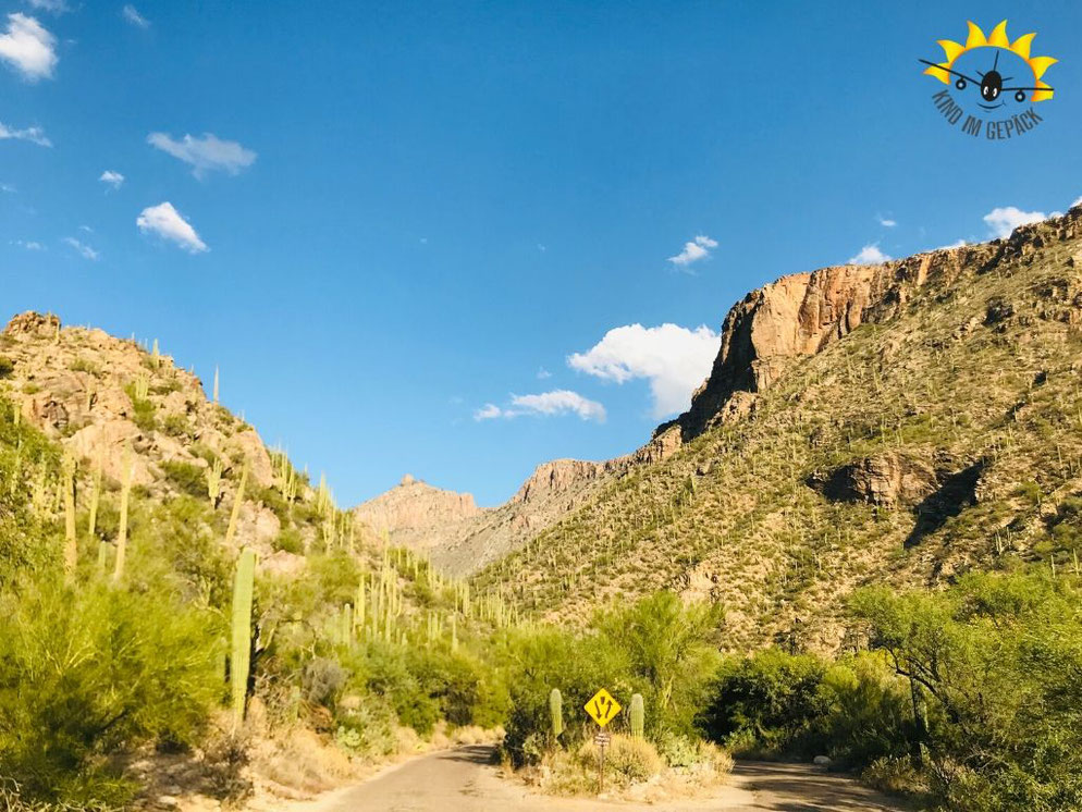 Der Sabino Canyon ist eine einzigartige Schlucht in Tucson / Arizona.