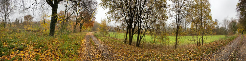 Landschaftsschutzgebiet in Rückersdorf (Foto: LBV Nürnberg)