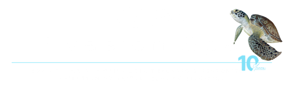 Site de evasion spa beaute !