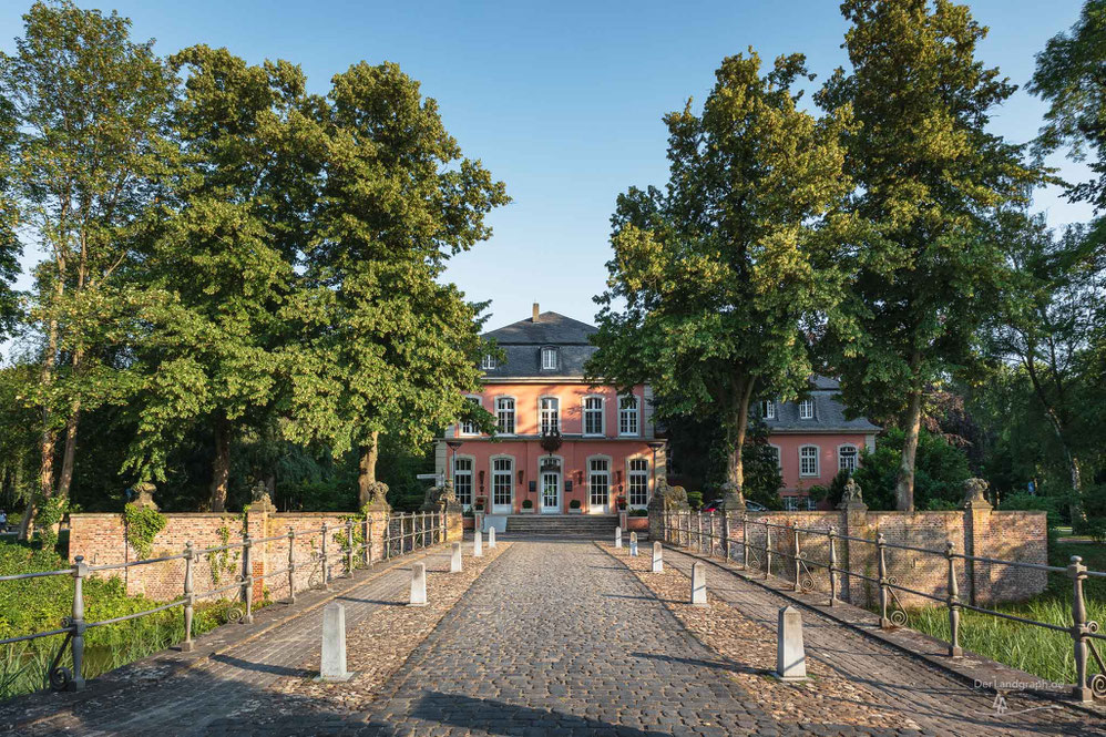 Schloss Wickrath in Mönchengladbach am Niederrhein mit blühendem Lavendel im Schlossgarten