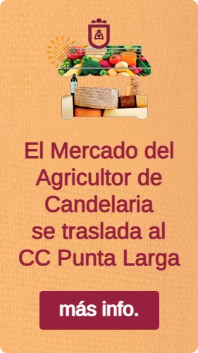 banner web