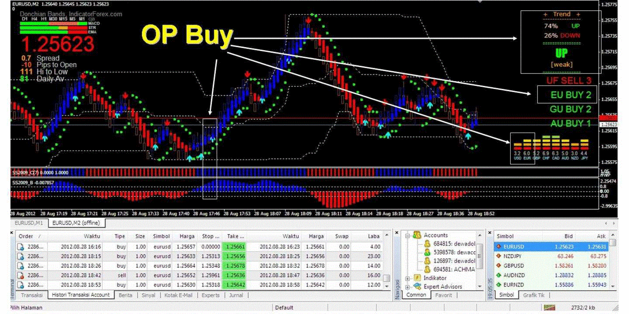 Scalping Expert Advisor for forex forex strategy from gilka
