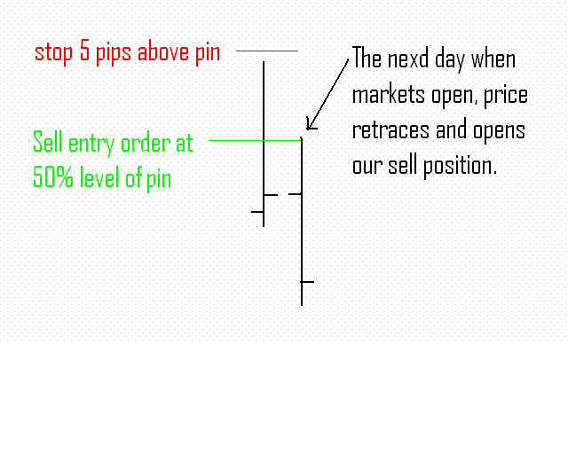 Pin Bar with Support and Resistance Forex Trading System Forex