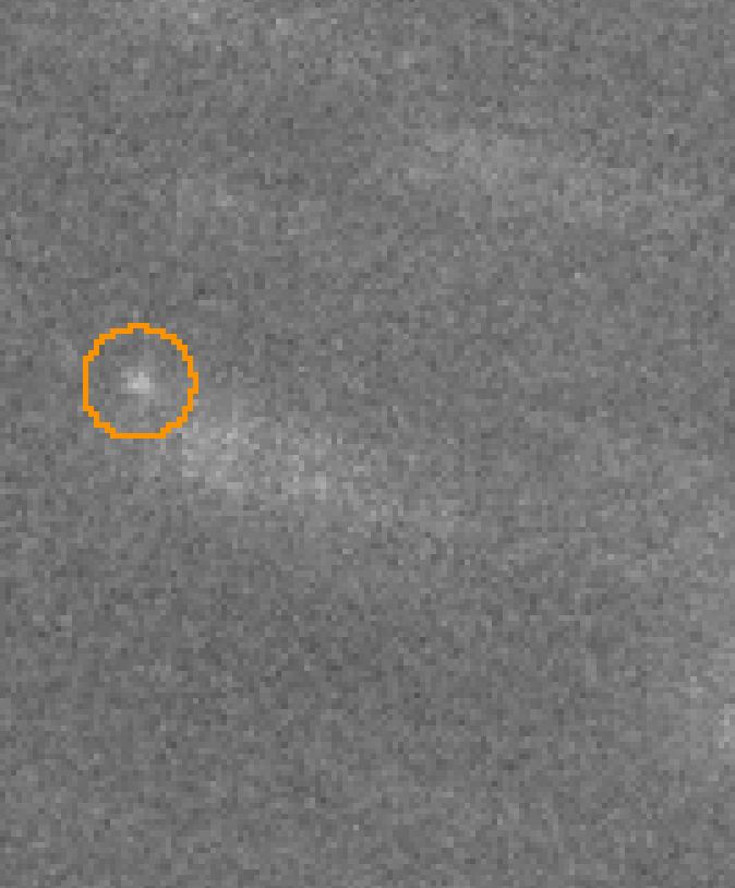 Halimede mondlexikons Webseite!